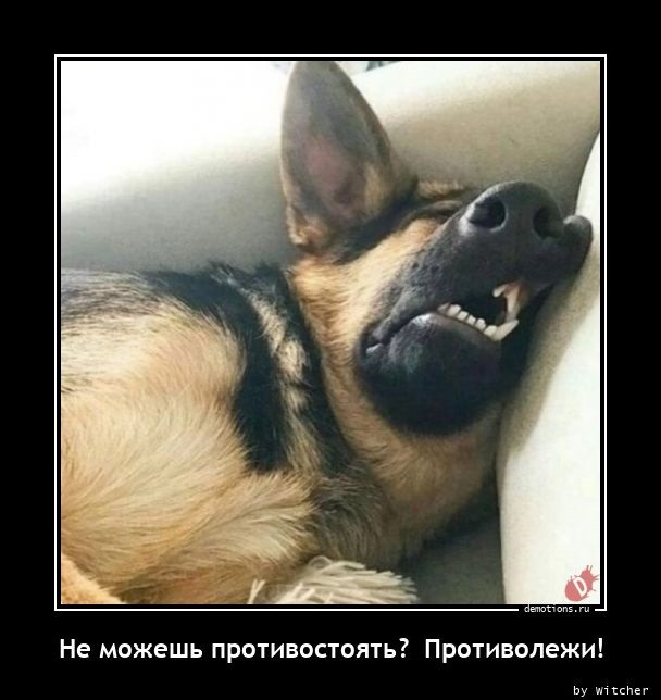 Демотиваторов пост: «Не можешь противостоять?..» (18 фото)