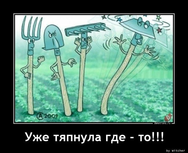 Пятничных демотиваторов пост: «Уже тяпнула где-то…» (17 шт)